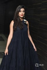 Anisha Ambrose At Vunnadhi Okate Zindagi Movie Audio Launch